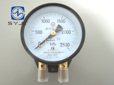 雙針壓力表
